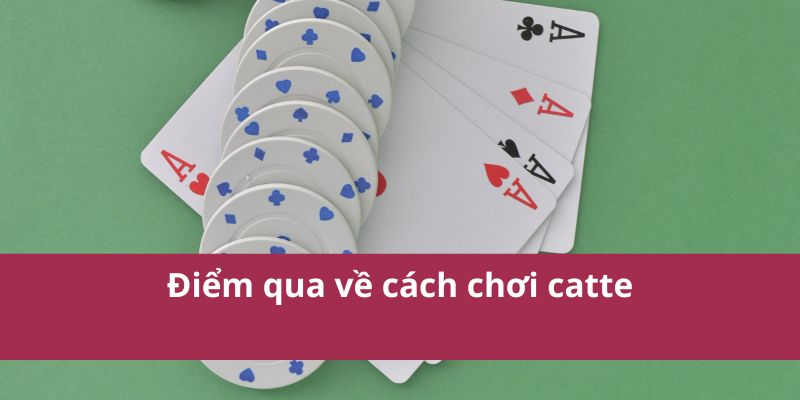 Hướng Dẫn Cách Chơi Catte Chi Tiết Và Chiến Lược Thắng Lớn 2 Điểm qua về cách chơi catte