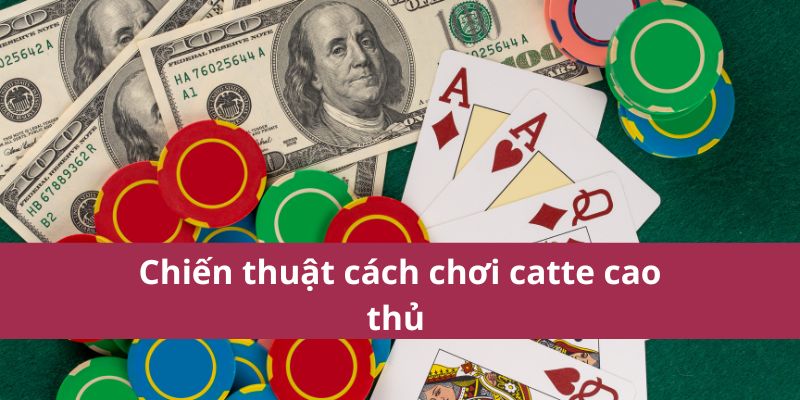 Hướng Dẫn Cách Chơi Catte Chi Tiết Và Chiến Lược Thắng Lớn 3 Chiến thuật cách chơi catte cao thủ