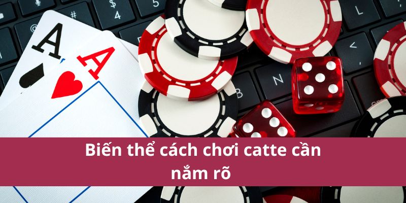 Hướng Dẫn Cách Chơi Catte Chi Tiết Và Chiến Lược Thắng Lớn 4 Biến thể cách chơi catte cần nắm rõ