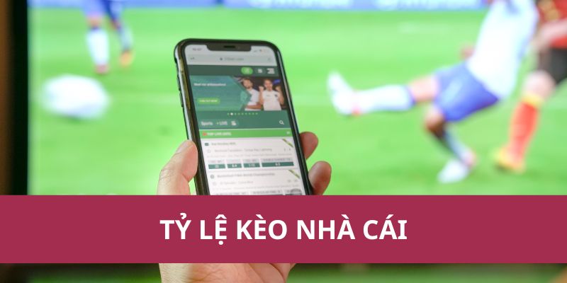 Tỷ Lệ Kèo Nhà Cái Là Gì? Hướng Dẫn Đọc Và Hiểu Kèo Hiệu Quả 1 tỷ lệ kèo nhà cái