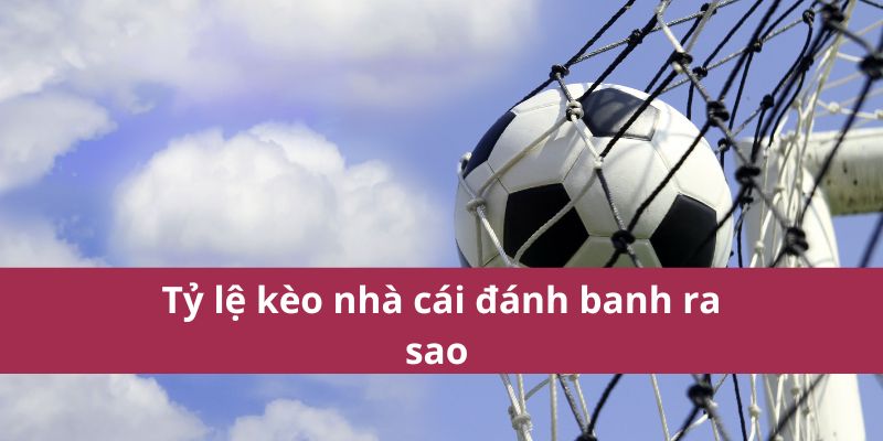 Tỷ Lệ Kèo Nhà Cái Là Gì? Hướng Dẫn Đọc Và Hiểu Kèo Hiệu Quả 3 Tỷ lệ kèo nhà cái đánh banh ra sao